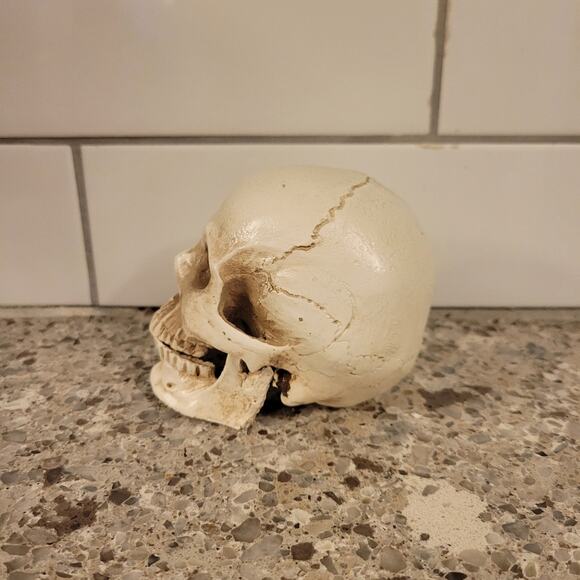 Tiny Firepit Burning Skull - Picture 4 of 9